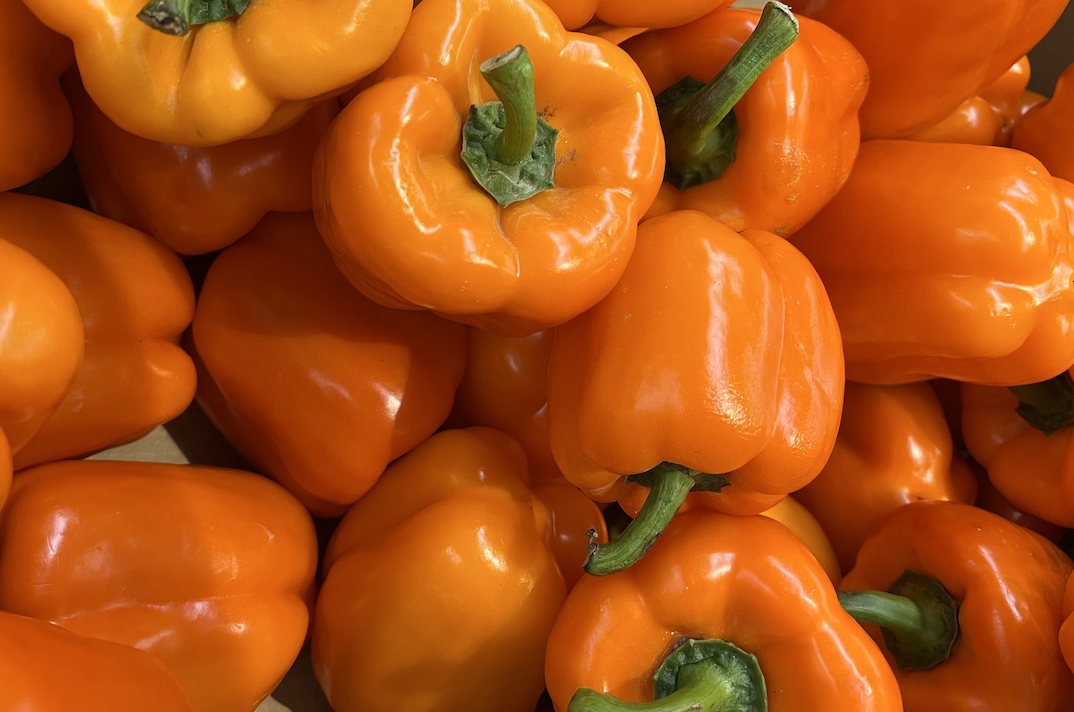 6 Types Of Colourful Bell Peppers Have Their Own Unique Flavors - Phat