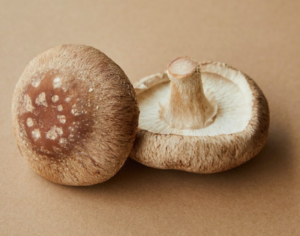 Shiitake Mushrooms