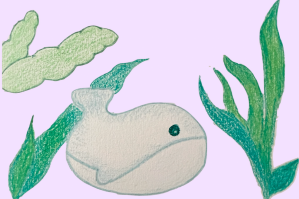 sea vegetable